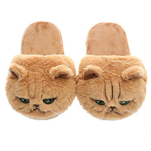 Millffy Cut Tangerine Animal 3D Womens Cat Slippers For Girls Big Kids Slippers