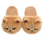 Load image into Gallery viewer, Millffy Cut Tangerine Animal 3D Womens Cat Slippers For Girls Big Kids Slippers
